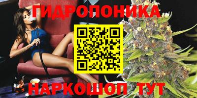 гашик Гатчина