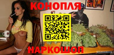 гашик Гатчина
