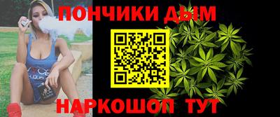 гашик Гатчина